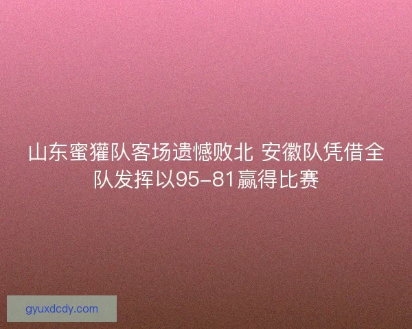 山东蜜獾队客场遗憾败北 安徽队凭借全队发挥以95-81赢得比赛